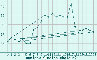 Courbe de l'humidex pour Adra