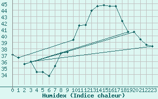 Courbe de l'humidex pour Chlef