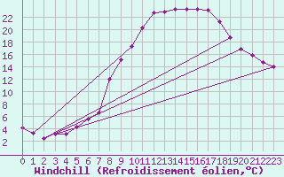 Courbe du refroidissement olien pour Chinchilla