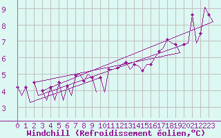 Courbe du refroidissement olien pour Platform P11-b Sea