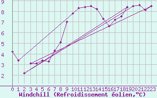 Courbe du refroidissement olien pour Belmullet