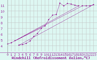 Courbe du refroidissement olien pour Amur (79)