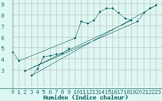 Courbe de l'humidex pour Torun