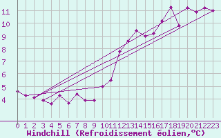 Courbe du refroidissement olien pour Ciudad Real (Esp)