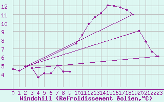 Courbe du refroidissement olien pour Radinghem (62)