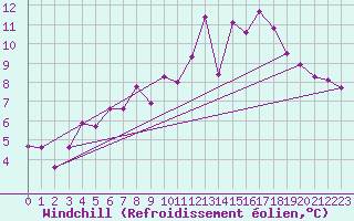 Courbe du refroidissement olien pour Bingley