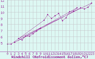 Courbe du refroidissement olien pour Machichaco Faro