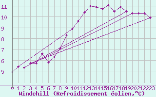 Courbe du refroidissement olien pour Manschnow