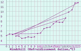 Courbe du refroidissement olien pour Sallles d