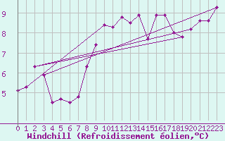Courbe du refroidissement olien pour Bizerte