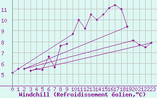 Courbe du refroidissement olien pour Magilligan