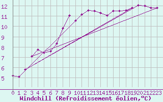 Courbe du refroidissement olien pour Amur (79)