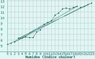 Courbe de l'humidex pour Tauxigny (37)