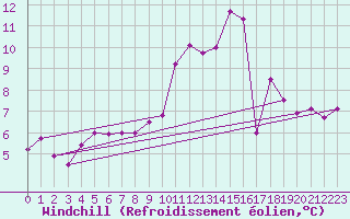 Courbe du refroidissement olien pour Schauenburg-Elgershausen