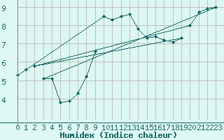 Courbe de l'humidex pour Cottbus
