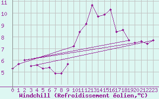 Courbe du refroidissement olien pour Greifswalder Oie