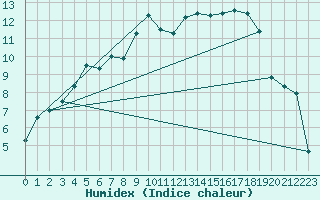 Courbe de l'humidex pour Salla Naruska