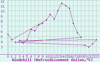Courbe du refroidissement olien pour Bad Lippspringe
