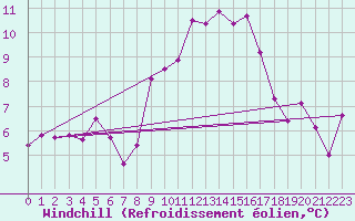 Courbe du refroidissement olien pour Biere