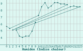Courbe de l'humidex pour Stabroek