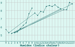 Courbe de l'humidex pour Erfde