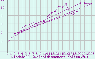 Courbe du refroidissement olien pour Radinghem (62)