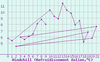 Courbe du refroidissement olien pour Robiei