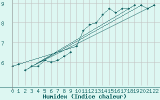 Courbe de l'humidex pour Braganca