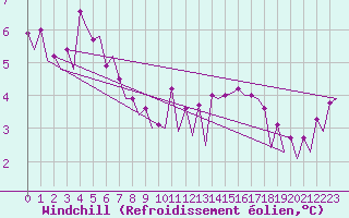 Courbe du refroidissement olien pour Platform P11-b Sea