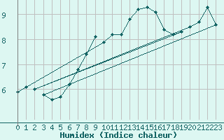 Courbe de l'humidex pour Siedlce