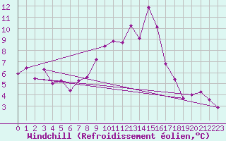 Courbe du refroidissement olien pour Weihenstephan