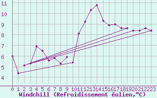Courbe du refroidissement olien pour Argers (51)