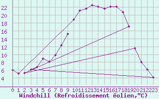 Courbe du refroidissement olien pour Chinchilla