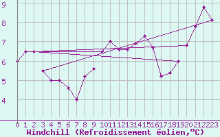 Courbe du refroidissement olien pour Hoek Van Holland