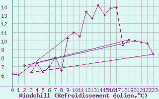 Courbe du refroidissement olien pour Biere