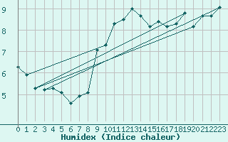 Courbe de l'humidex pour Belm