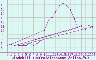Courbe du refroidissement olien pour Chinchilla