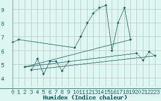 Courbe de l'humidex pour Sarzeau (56)