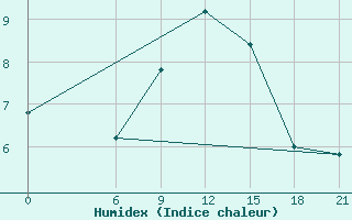 Courbe de l'humidex pour Vinica-Pgc