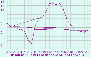 Courbe du refroidissement olien pour Biere