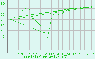 Courbe de l'humidit relative pour Nesbyen-Todokk