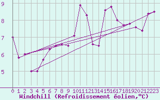 Courbe du refroidissement olien pour Machichaco Faro