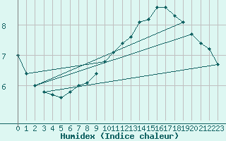 Courbe de l'humidex pour Gorzow Wlkp