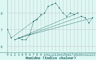 Courbe de l'humidex pour Hoek Van Holland