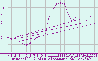 Courbe du refroidissement olien pour Sallles d