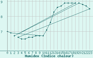 Courbe de l'humidex pour Mont-Aigoual (30)