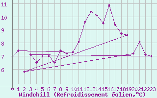 Courbe du refroidissement olien pour Albi (81)