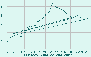 Courbe de l'humidex pour Chopok