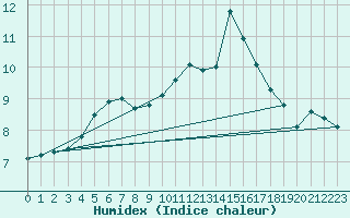 Courbe de l'humidex pour Wittering