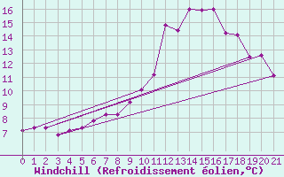 Courbe du refroidissement olien pour Aadorf / Tnikon